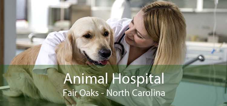 Animal Hospital Fair Oaks - North Carolina
