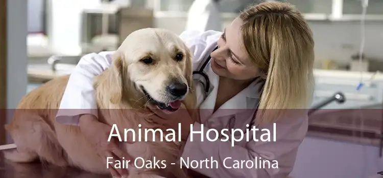 Animal Hospital Fair Oaks - North Carolina