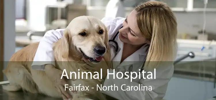 Animal Hospital Fairfax - North Carolina