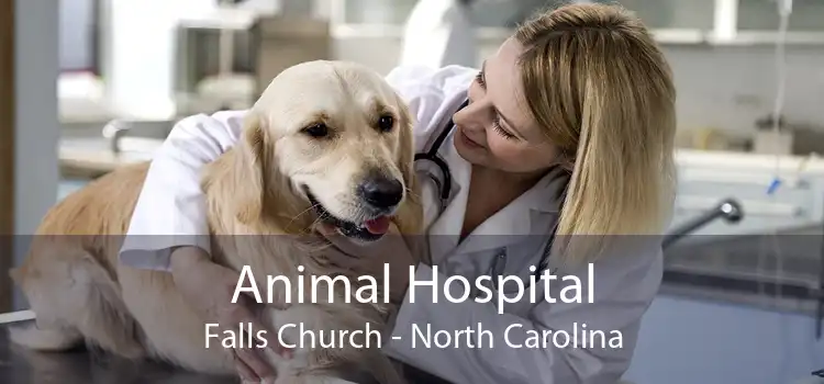 Animal Hospital Falls Church - North Carolina
