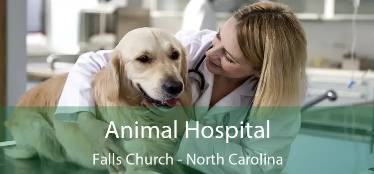 Animal Hospital Falls Church - North Carolina