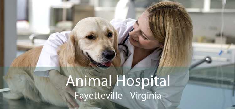 Animal Hospital Fayetteville - Virginia