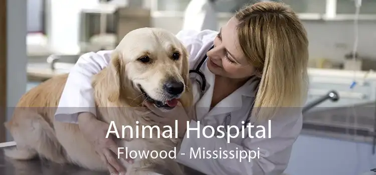 Animal Hospital Flowood - Mississippi