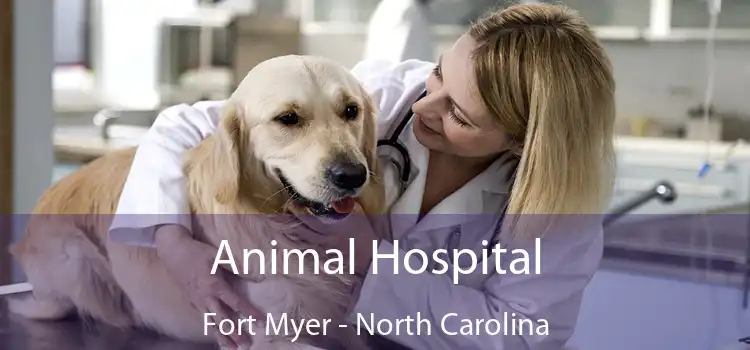 Animal Hospital Fort Myer - North Carolina