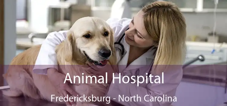 Animal Hospital Fredericksburg - North Carolina