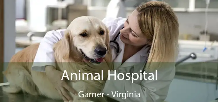 Animal Hospital Garner - Virginia