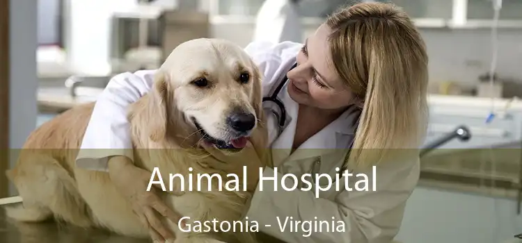 Animal Hospital Gastonia - Virginia