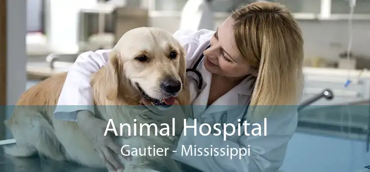 Animal Hospital Gautier - Mississippi
