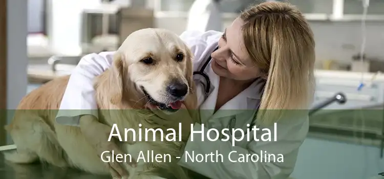 Animal Hospital Glen Allen - North Carolina