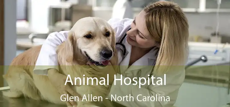 Animal Hospital Glen Allen - North Carolina