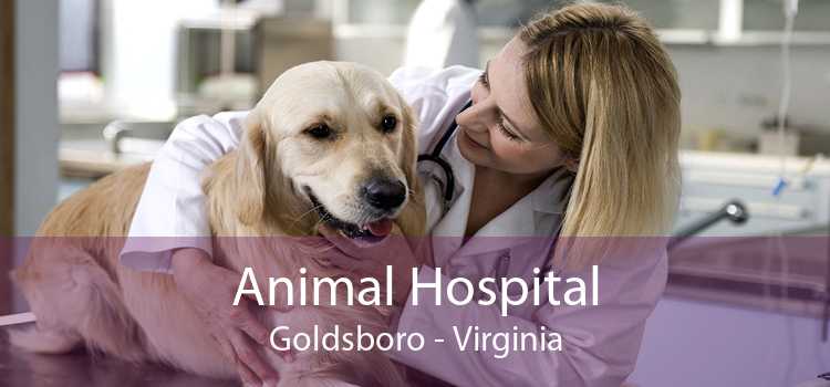 Animal Hospital Goldsboro - Virginia