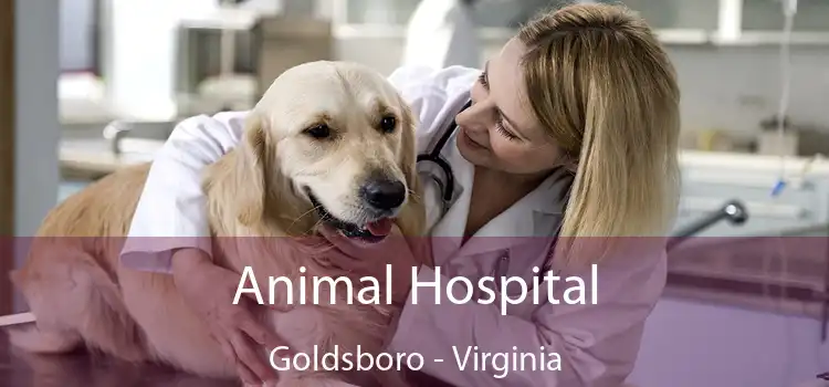 Animal Hospital Goldsboro - Virginia