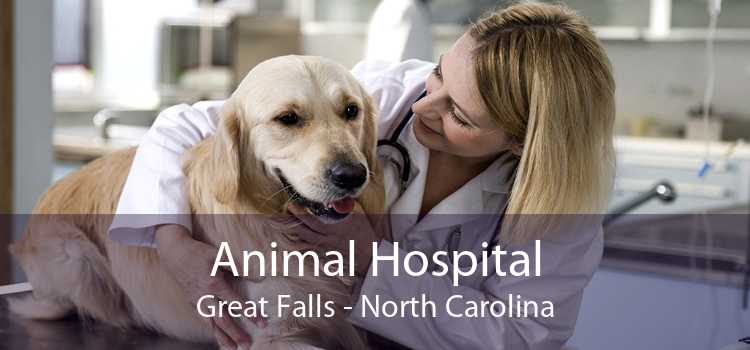 Animal Hospital Great Falls - North Carolina