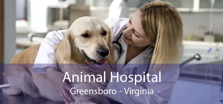 Animal Hospital Greensboro - Virginia