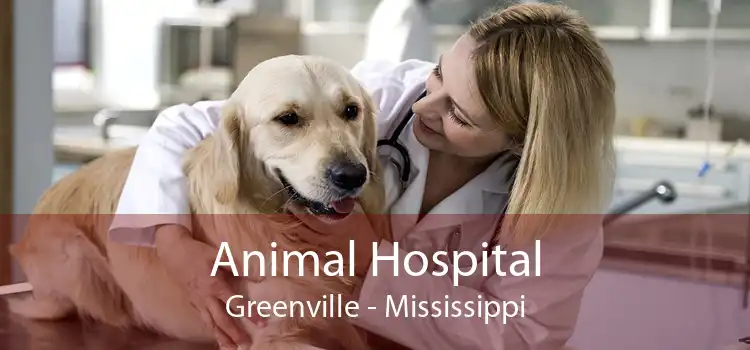 Animal Hospital Greenville - Mississippi