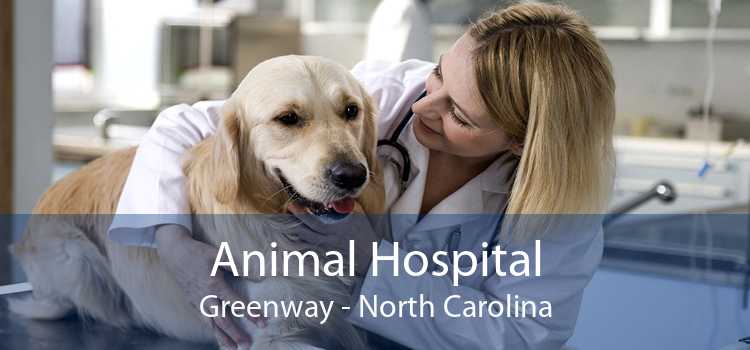 Animal Hospital Greenway - North Carolina