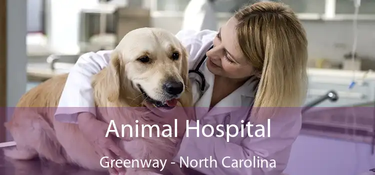 Animal Hospital Greenway - North Carolina