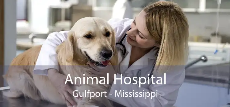 Animal Hospital Gulfport - Mississippi