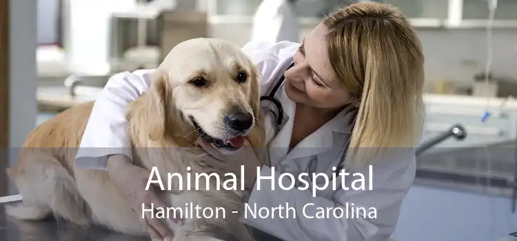 Animal Hospital Hamilton - North Carolina