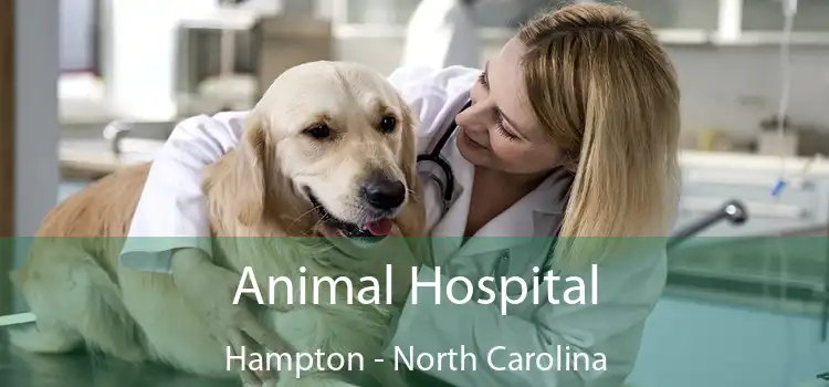 Animal Hospital Hampton - North Carolina