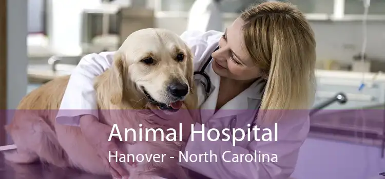 Animal Hospital Hanover - North Carolina