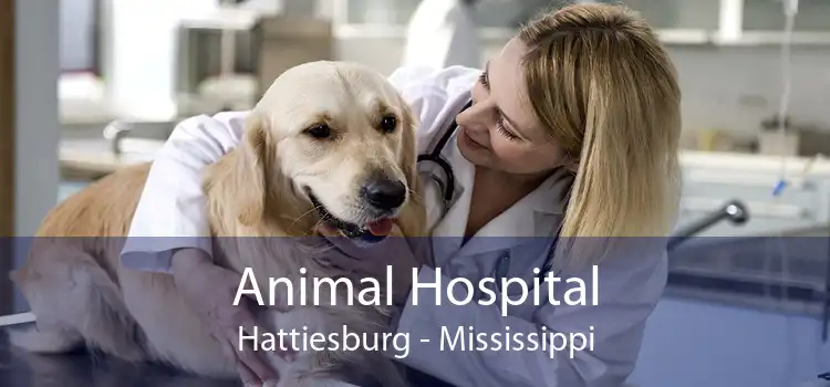 Animal Hospital Hattiesburg - Mississippi