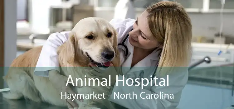 Animal Hospital Haymarket - North Carolina