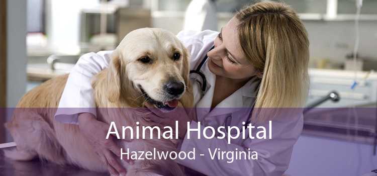 Animal Hospital Hazelwood - Virginia