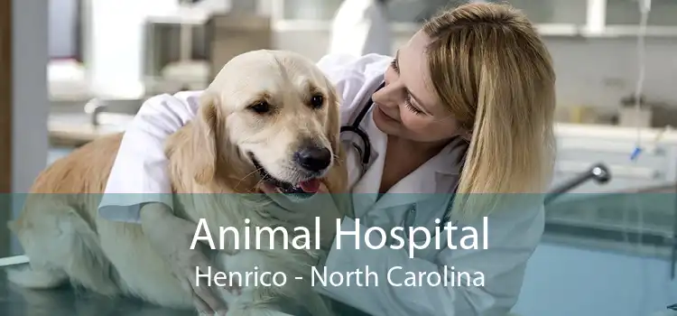 Animal Hospital Henrico - North Carolina
