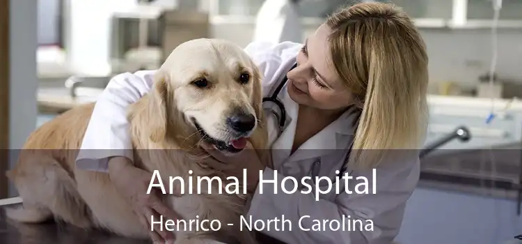 Animal Hospital Henrico - North Carolina