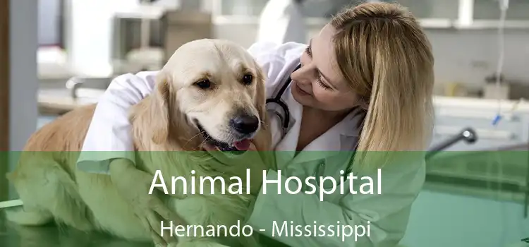 Animal Hospital Hernando - Mississippi