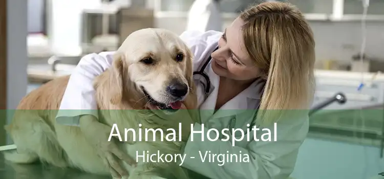 Animal Hospital Hickory - Virginia