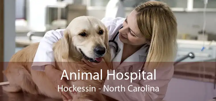 Animal Hospital Hockessin - North Carolina