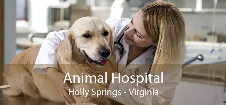 Animal Hospital Holly Springs - Virginia