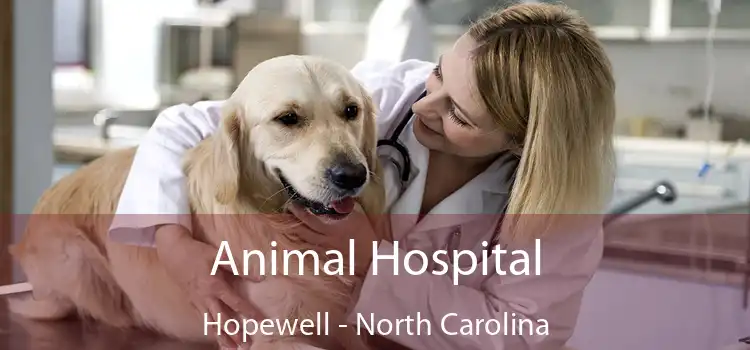 Animal Hospital Hopewell - North Carolina