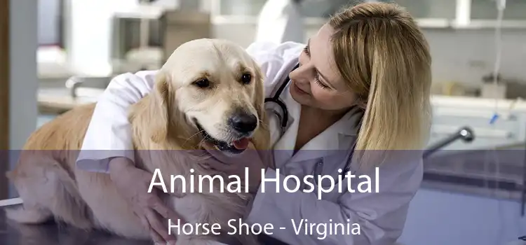 Animal Hospital Horse Shoe - Virginia