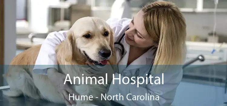 Animal Hospital Hume - North Carolina