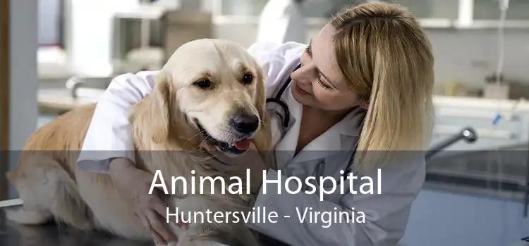 Animal Hospital Huntersville - Virginia