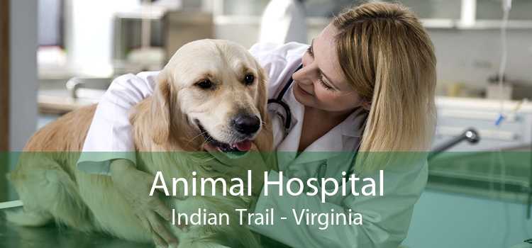 Animal Hospital Indian Trail - Virginia