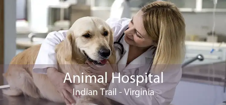 Animal Hospital Indian Trail - Virginia
