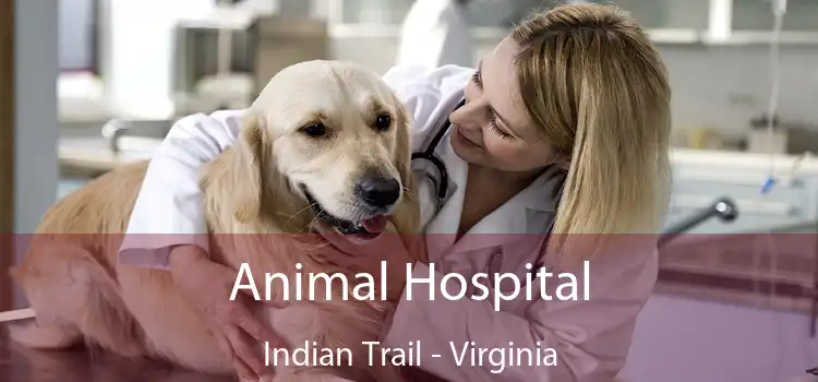 Animal Hospital Indian Trail - Virginia