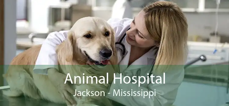 Animal Hospital Jackson - Mississippi