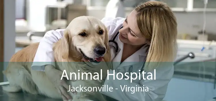Animal Hospital Jacksonville - Virginia