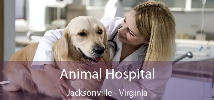 Animal Hospital Jacksonville - Virginia