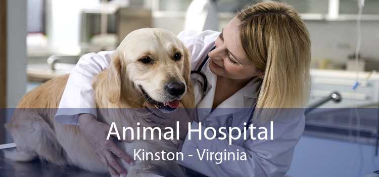 Animal Hospital Kinston - Virginia