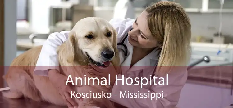 Animal Hospital Kosciusko - Mississippi