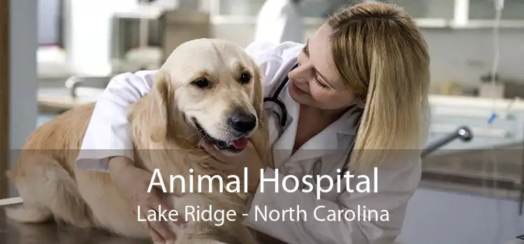 Animal Hospital Lake Ridge - North Carolina