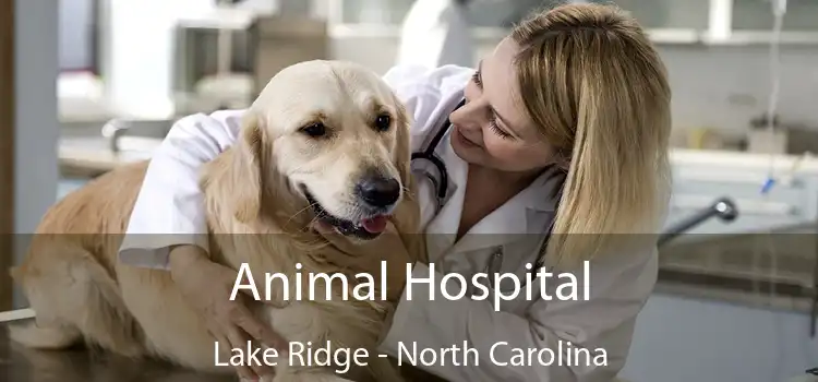 Animal Hospital Lake Ridge - North Carolina