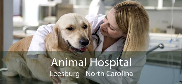Animal Hospital Leesburg - North Carolina