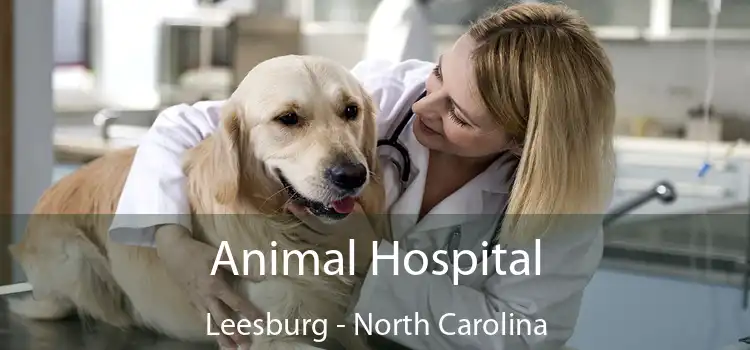 Animal Hospital Leesburg - North Carolina